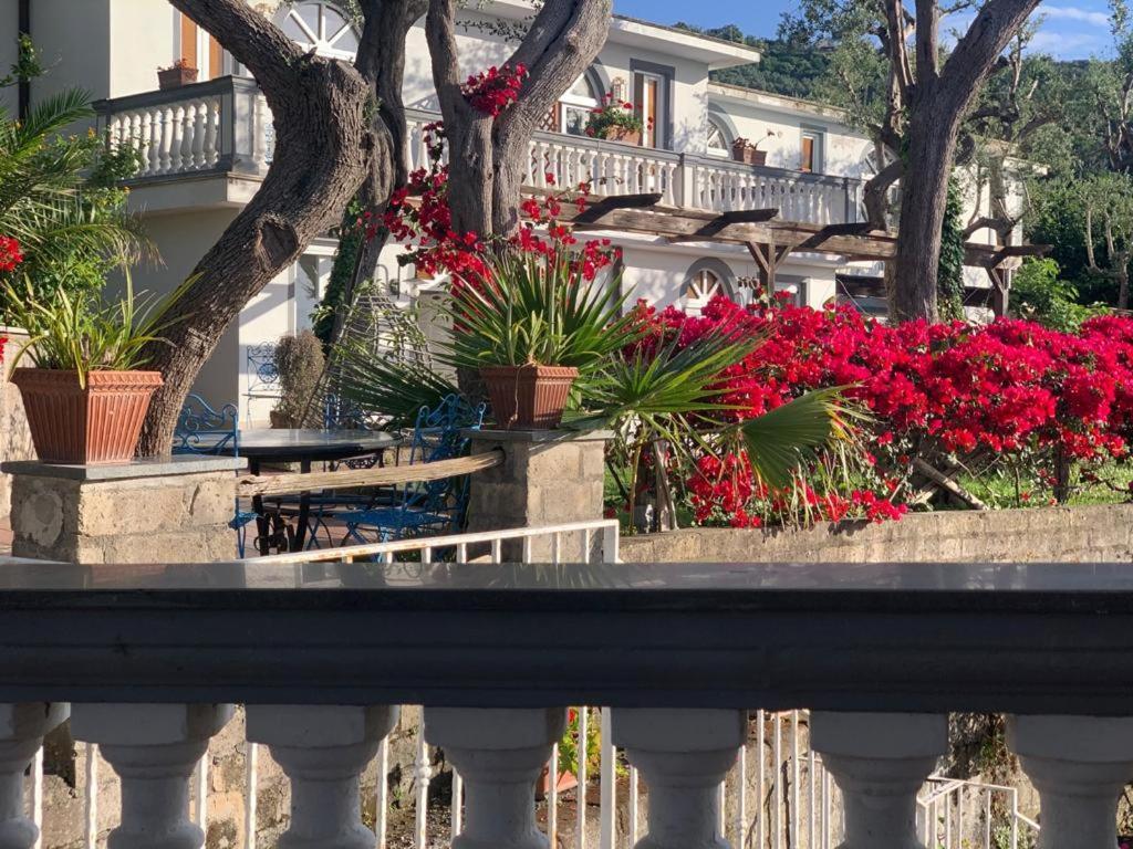 Maison d'hôtes Giovanna Sorrente